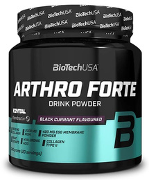BioTech Arthro Forte  340 g