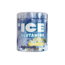 FA ICE Glutamine 300g