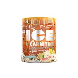 FA Ice L-Carnitine 300g