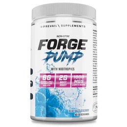Forge Pump  384g