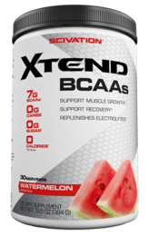 Xtend Bcaa 423g