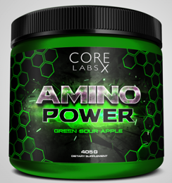 Amino Power 405g