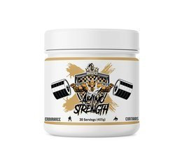 Amino Strength 405g